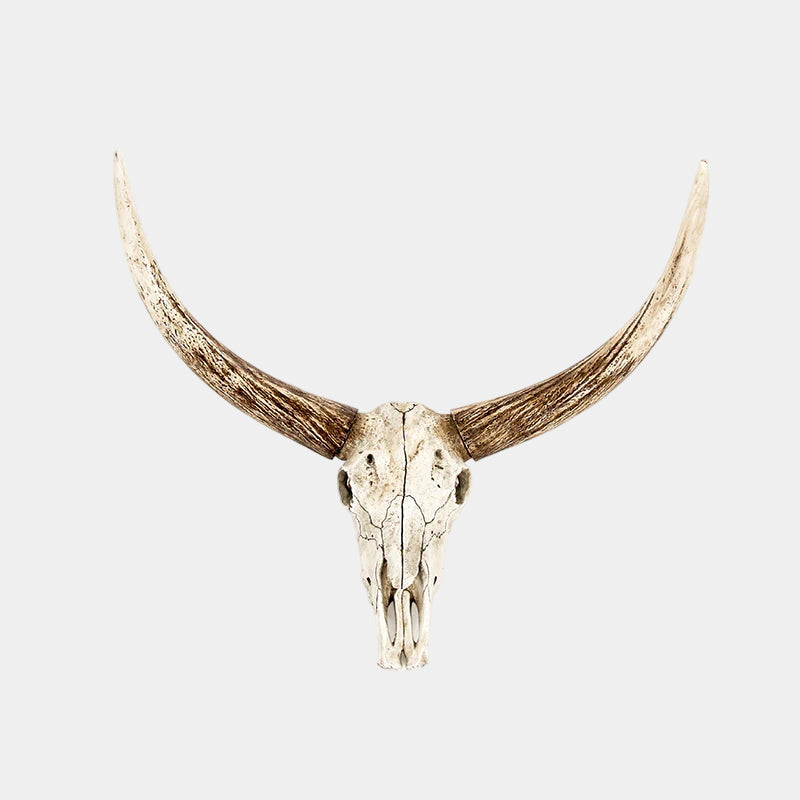 Bull skull with large horns on a light gray background