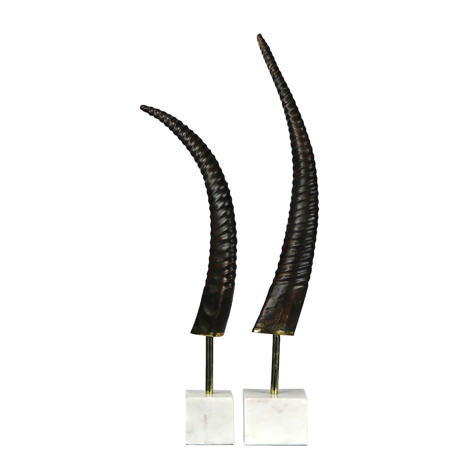 Exotic Horn on Base