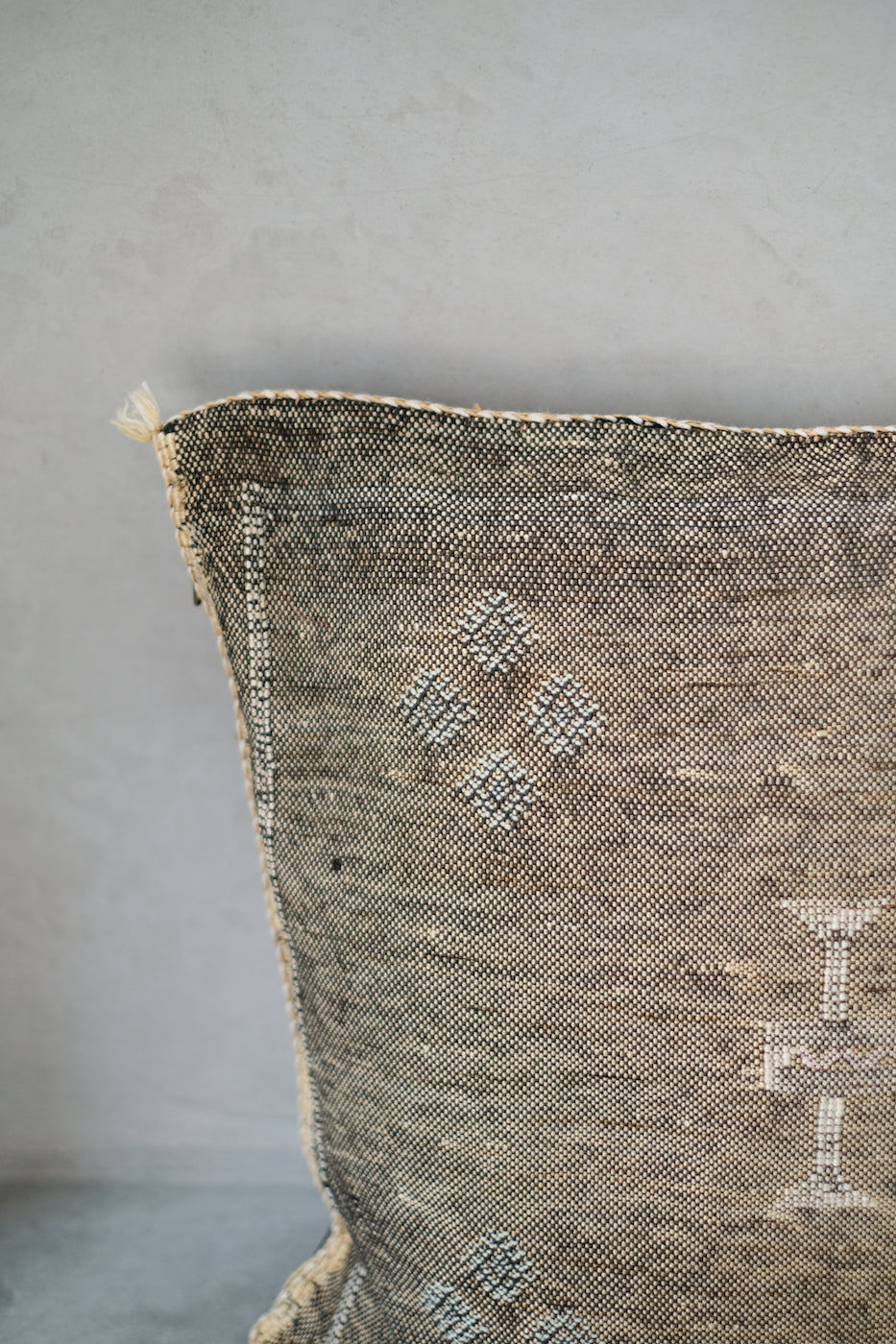 Cactus Silk Pillow #5