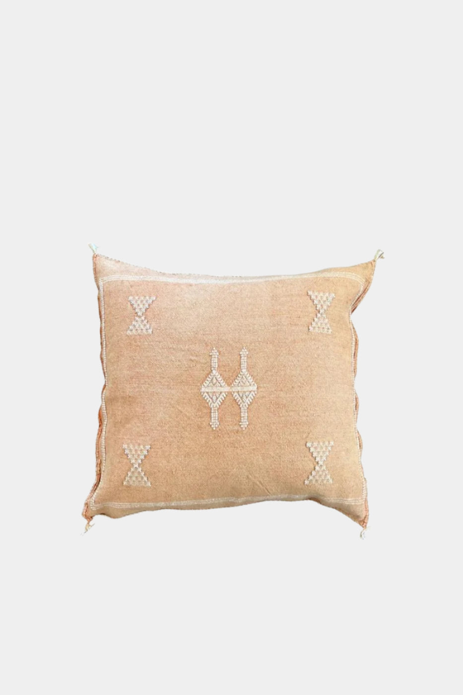 Cactus Silk Pillow #2