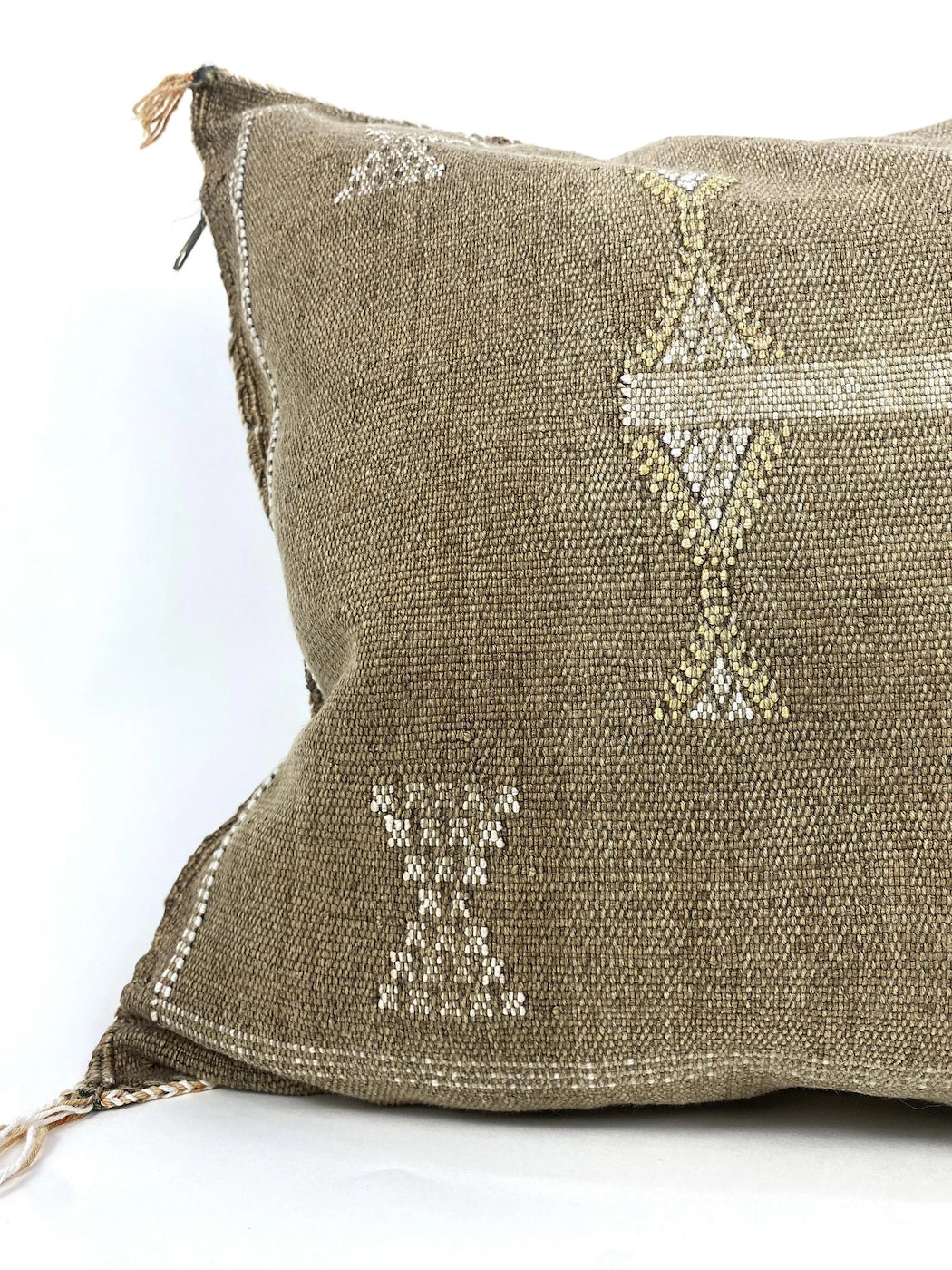 Cactus Silk Pillow #3