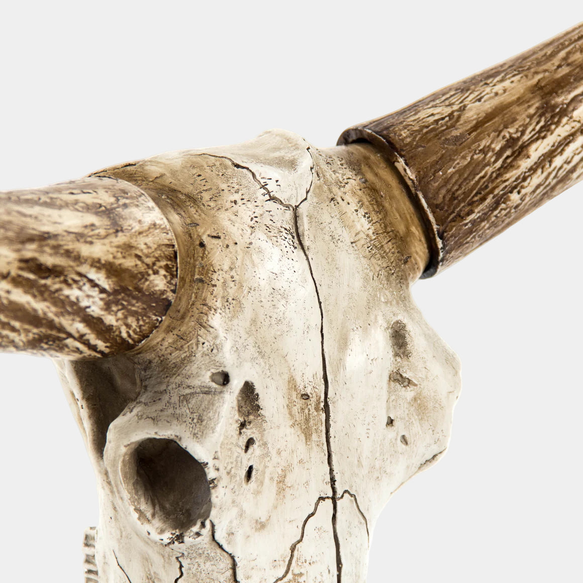 Bull Skull